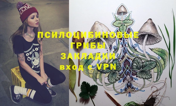 бутират Баксан